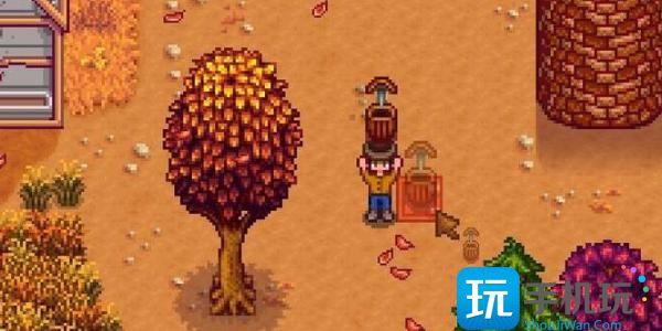 星露谷物语金库收集包怎么获得