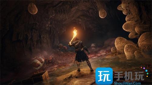 艾尔登法环联机不被入侵方法 艾尔登法环联机不被入侵方法