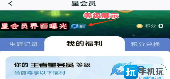 王者荣耀星会员成长等级查看方法一览