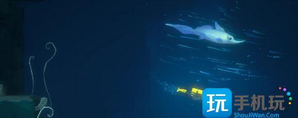 潜水员戴夫金枪鱼怎么捉