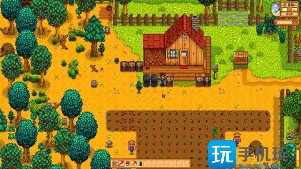 星露谷物语野生种子怎么种