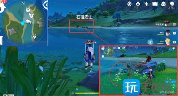 原神久雨莲位置大全图8