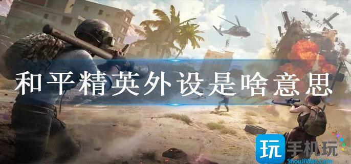 和平精英外设是啥意思