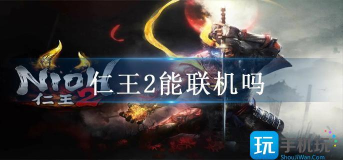 仁王2能联机吗