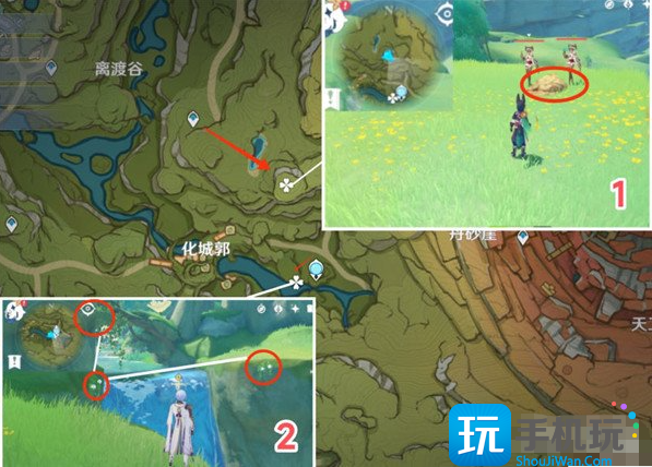 原神劫波莲位置地点及路线一览图3