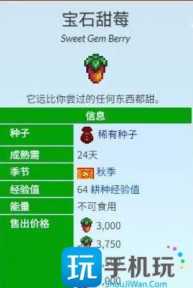 星露谷物语宝石甜莓流怎么玩