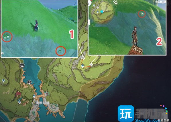原神劫波莲位置地点及路线一览图14