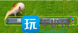 梦幻西游新手牧场动物繁殖攻略大全