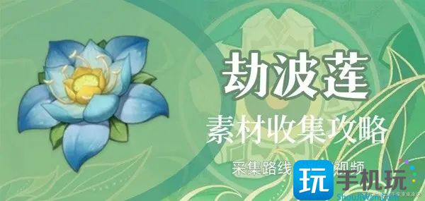 原神劫波莲什么时候刷新 原神劫波莲采集路线图汇总