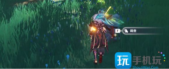 原神须弥水泡奇馈宝箱位置攻略大全 原神水泡奇馈宝箱位置在哪