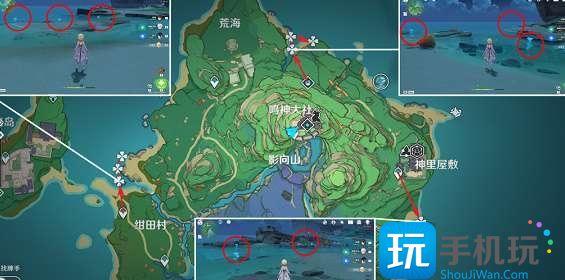 原神海灵芝采集点2023大全图4