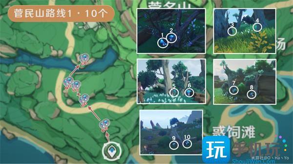 原神幽灯蕈位置采集路线图大全图5