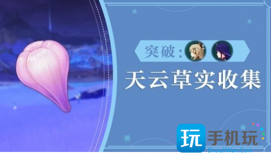 原神190个天云草实采集位置大全图1