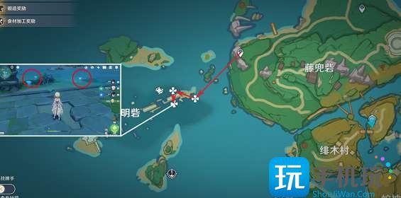 原神海灵芝采集点2023大全图5