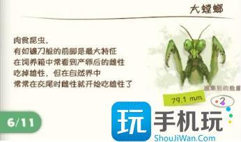 蜡笔小新煤炭镇的小白螳螂怎么捕捉