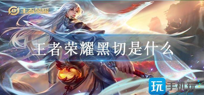 王者荣耀黑切是什么