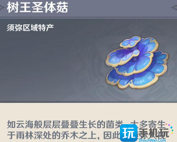 原神树王圣体菇多久刷新