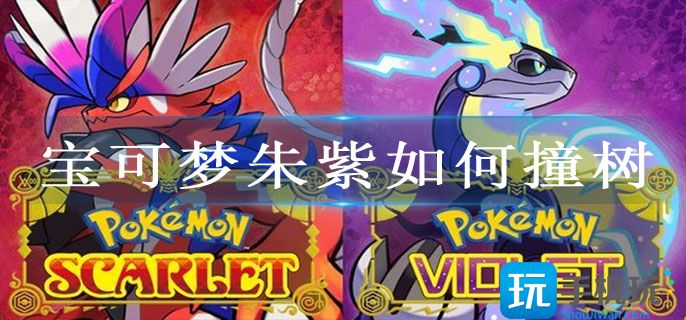 宝可梦朱紫如何撞树 宝可梦朱紫如何撞树