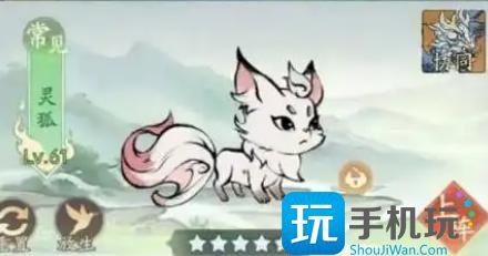 寻道大千灵狐与蜜蜂御灵石怎么玩