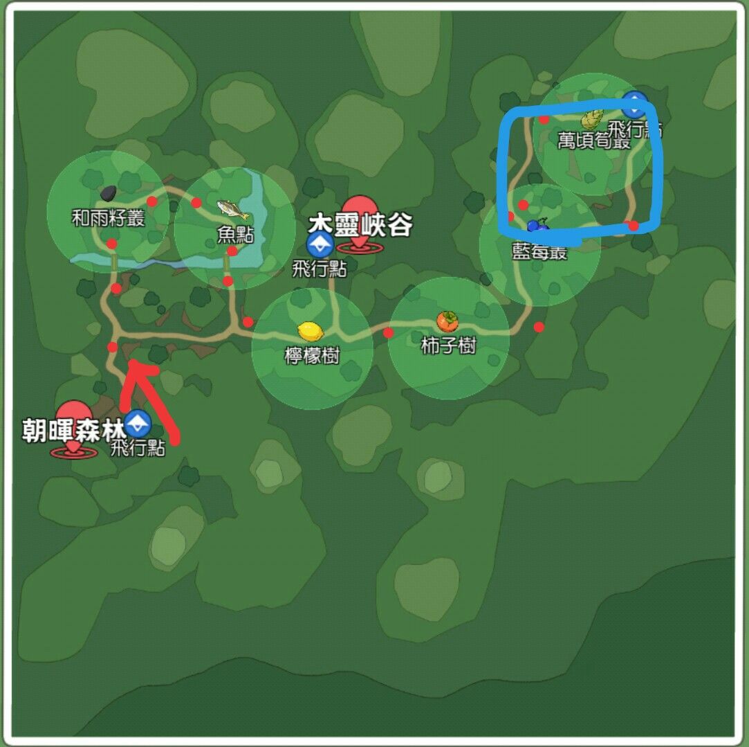 小森生活灯闪果在哪 小森生活灯闪果在哪