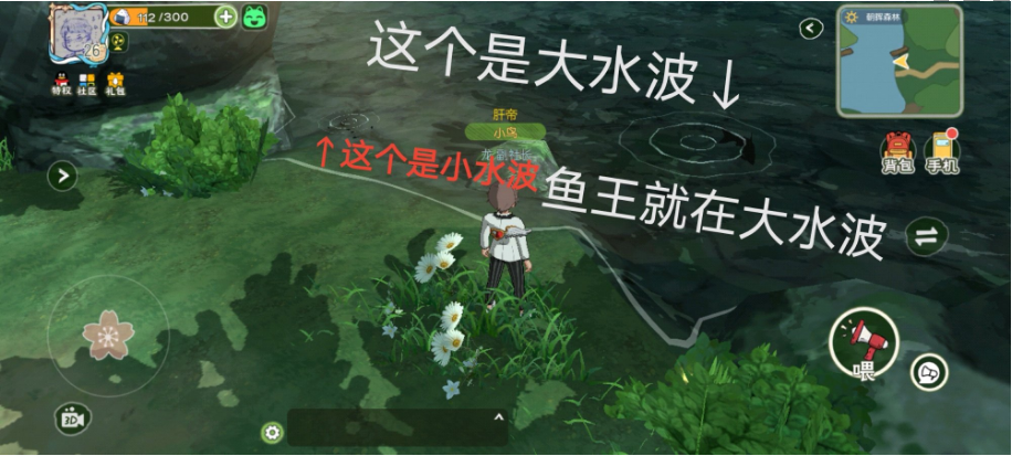 小森生活怎么钓鲤鱼王