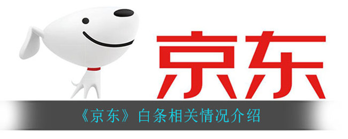 京东白条是什么