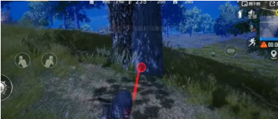 和平精英双生树在哪个位置-双生树位置一览 和平精英双生树位置一览