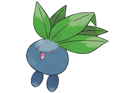 宝可梦大探险走路草食谱是什么