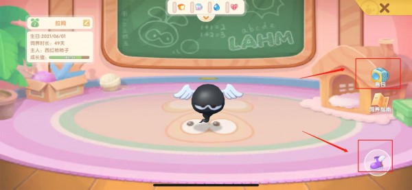 摩尔庄园手游怎么与拉姆玩耍 摩尔庄园手游怎么与拉姆玩耍