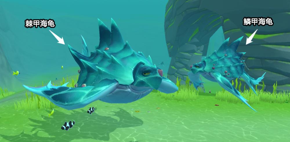 创造与魔法龟药水怎么做