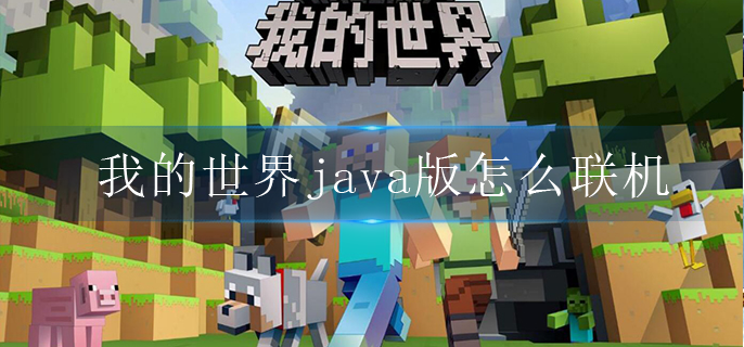 我的世界java版怎么联机