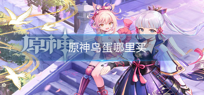 原神鸟蛋哪里买
