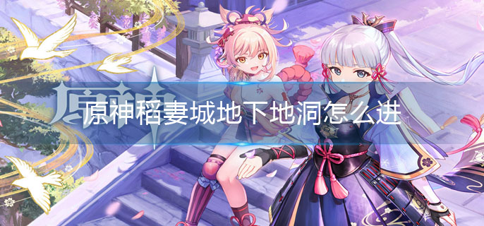 原神稻妻城地下地洞怎么进