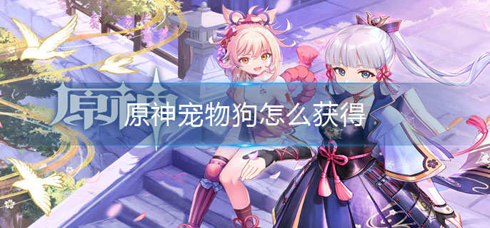 原神宠物狗怎么获得