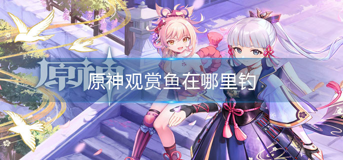 原神观赏鱼在哪里钓