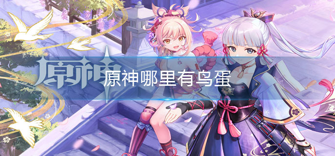 原神哪里有鸟蛋