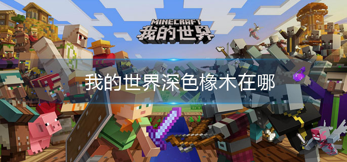 我的世界深色橡木在哪