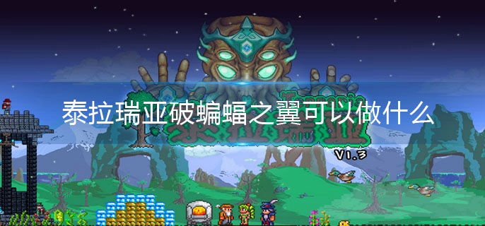 泰拉瑞亚破蝙蝠之翼可以做什么