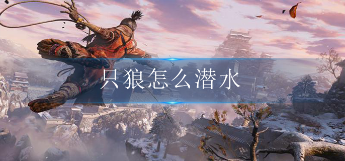 只狼怎么潜水