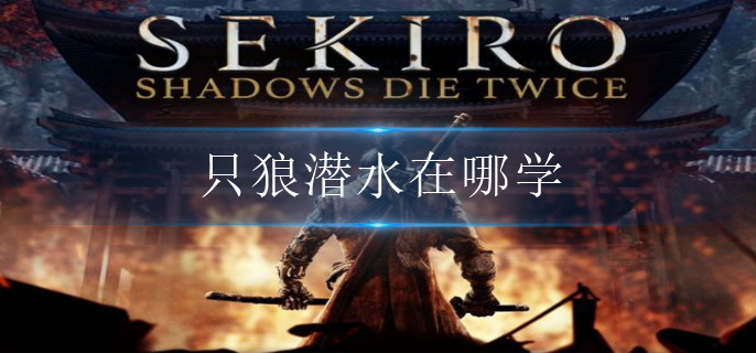 只狼潜水在哪学