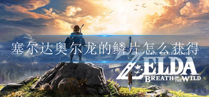 塞尔达奥尔龙的鳞片怎么获得