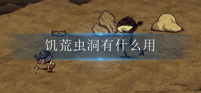 饥荒虫洞有什么用