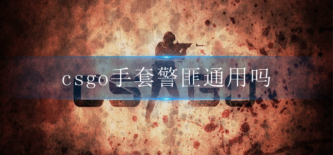 csgo手套警匪通用吗