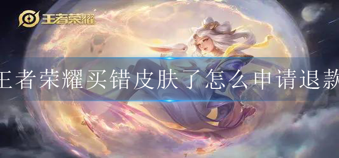 王者荣耀买错皮肤了怎么申请退款