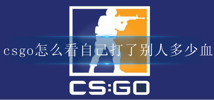 csgo怎么看自己打了别人多少血