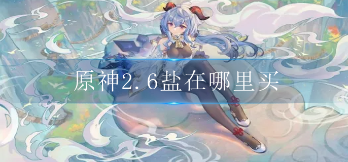 原神2.6盐在哪里买