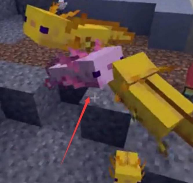 我的世界美西螈怎么繁殖手机版-手机版美西螈繁殖攻略