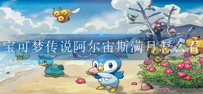 宝可梦传说阿尔宙斯满月怎么看