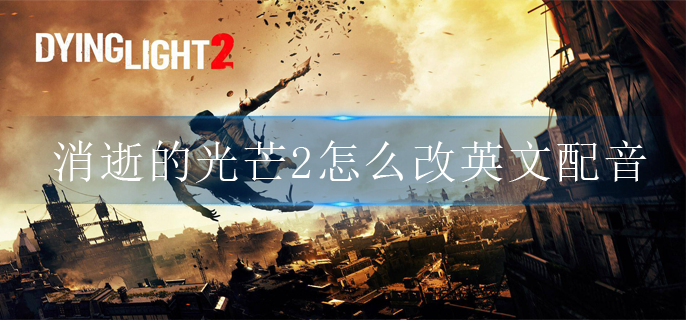 消逝的光芒2怎么改英文配音