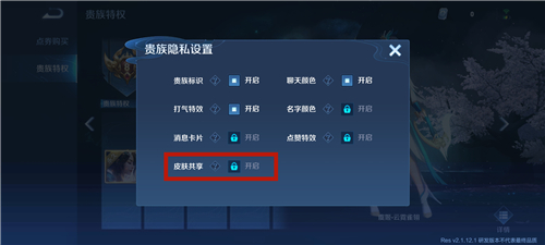 王者荣耀共享皮肤使用攻略
